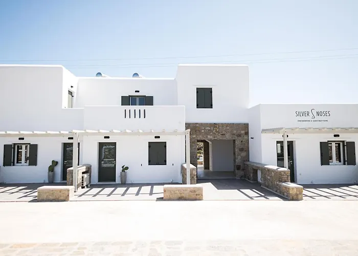 Silvair I By Silvernoses, Mykonos Tatil Evi