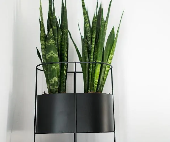 Silvair I By Silvernoses, Mykonos * Mykonos Town